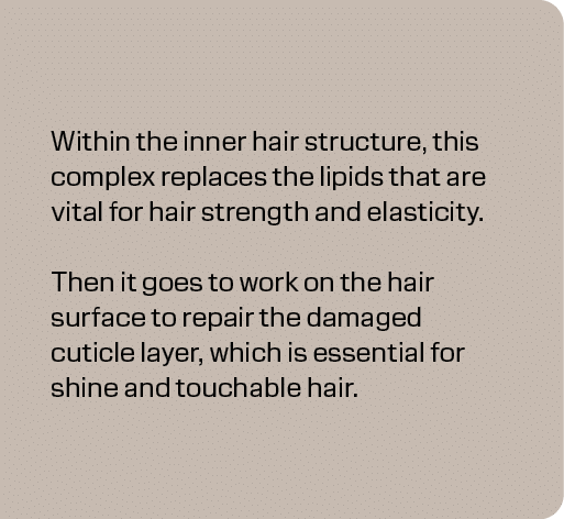 Within the inner hair structure, this complex replaces the lipids that are vital for hair strength and elasticity. Th...