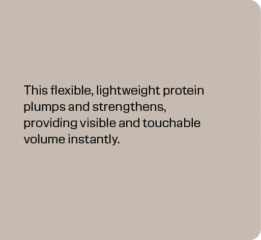 This flexible, lightweight protein plumps and strengthens, providing visible and touchable volume instantly