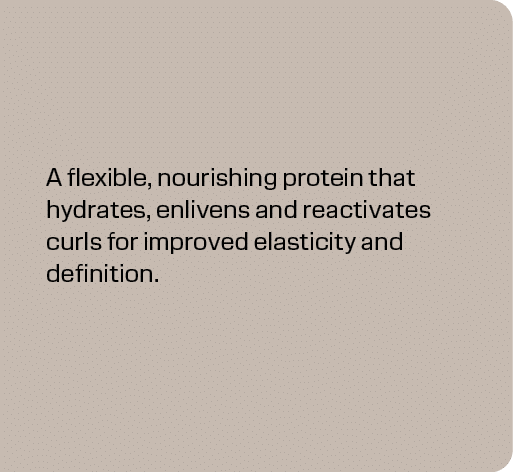 A flexible, nourishing protein that hydrates, enlivens and reactivates curls for improved elasticity and definition