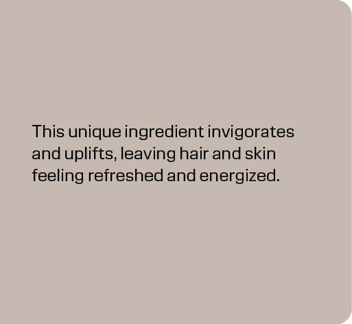 This unique ingredient invigorates and uplifts, leaving hair and skin feeling refreshed and energized