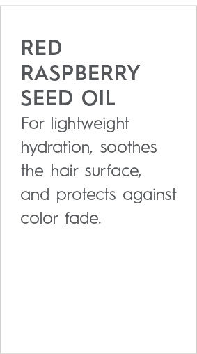 RED RASPBERRY SEED OIL For lightweight hydration, soothes the hair surface, and protects against color fade