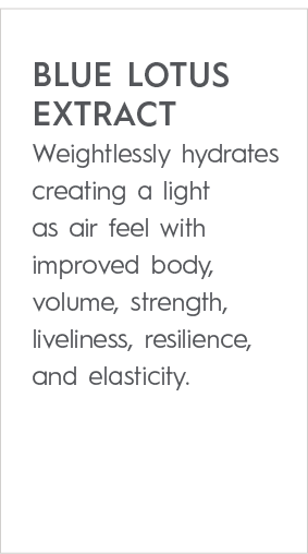 BLUE LOTUS EXTRACT Weightlessly hydrates creating a light as air feel with improved body, volume, strength, livelines...