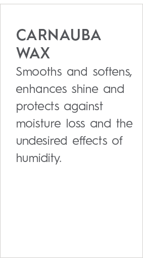 CARNAUBA WAX Smooths and softens, enhances shine and protects against moisture loss and the undesired effects of humi...